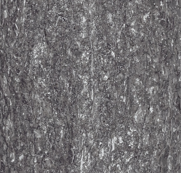 Vector vectorillustratie van de textuur van de schors van de turkse hazel corylus colurna natuurlijke leer achtergrond