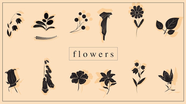 Vectorillustratie van decoratieve bloemen en planten in het zwart. EPS 10