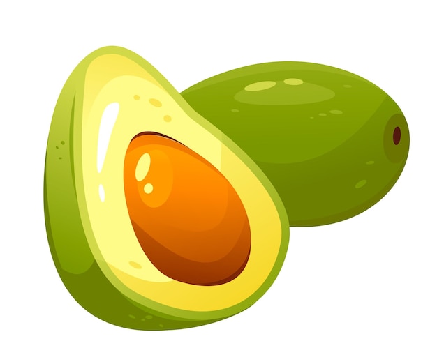 Vectorillustratie van een avocado op een witte achtergrond Sappig fruit met een steen