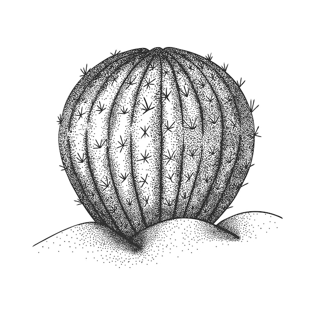 Vectorillustratie van een cactus geïsoleerd op een witte achtergrond