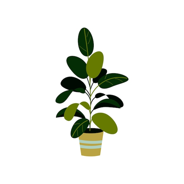 Vectorillustratie van een ficus geïsoleerd op wit huis plant in een pot interieur design element