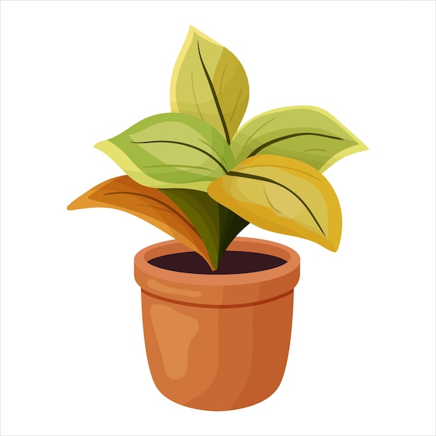 Vectorillustratie van een huisplant in een pot met bladeren