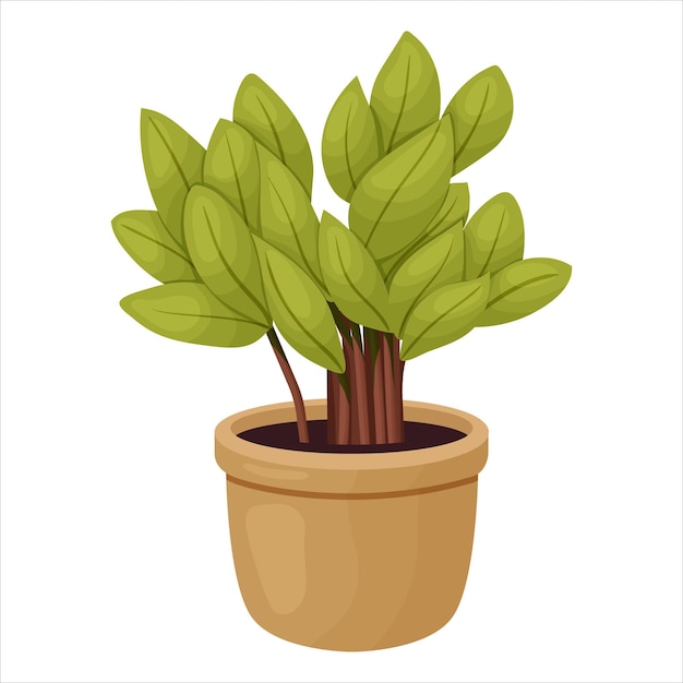 Vectorillustratie van een huisplant in een pot met bladeren