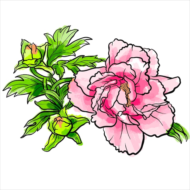 Vectorillustratie van een kleurrijke pioenbloem