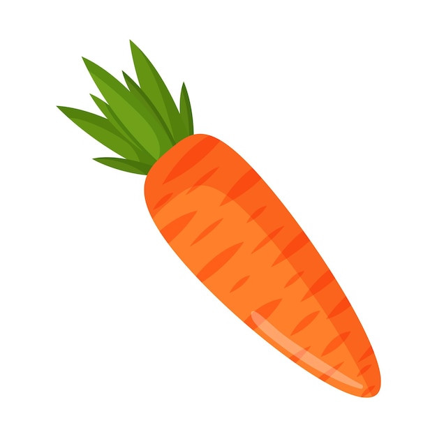 Vector vectorillustratie van een oranje wortel groenten en rauwkost