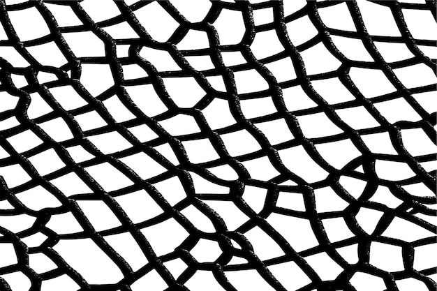 Vectorillustratie van een zwart omschreven net met een op een wit oppervlak geïsoleerde textuur