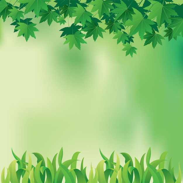 Vectorillustratie van esdoornbladeren en gras op een wazige groene pastelkleurige achtergrond