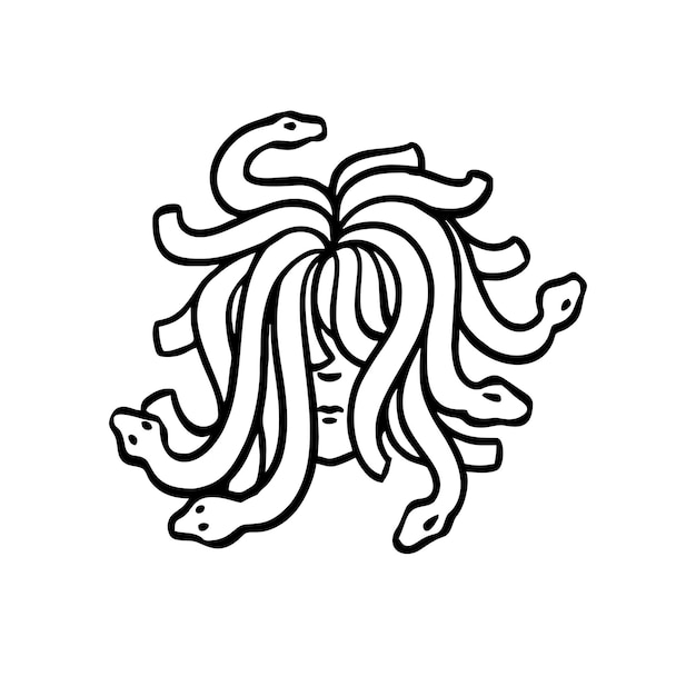 Vectorillustratie van hand getrokken medusa hoofd lijntekening