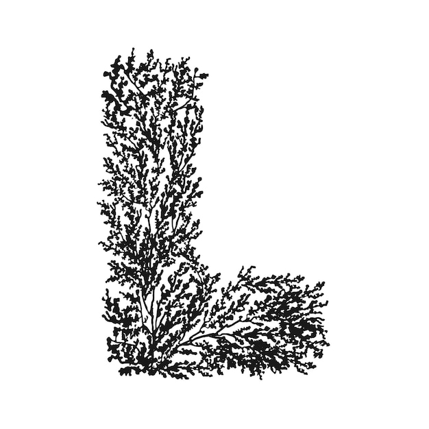 Vectorillustratie van handgetekende letter L Zwart-wit bloemen typografieontwerp