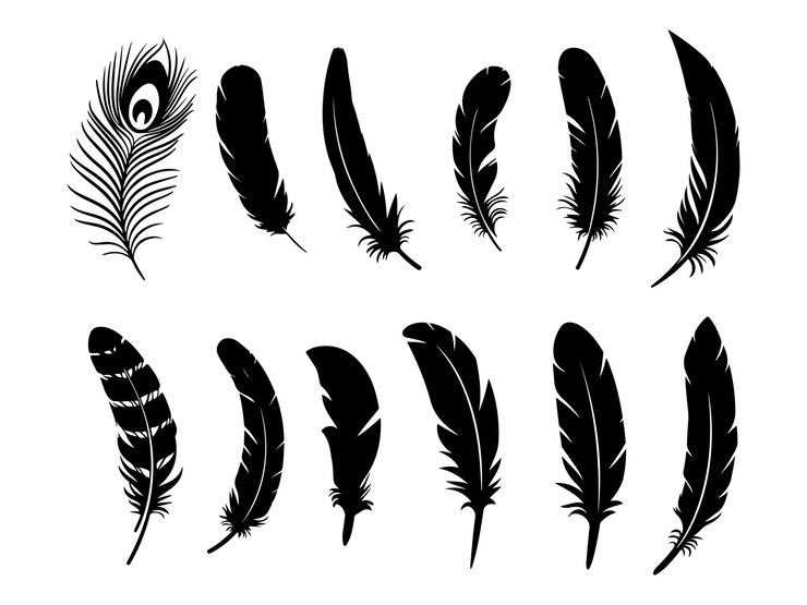 Vector vectorillustratie van het icoon van de veer
