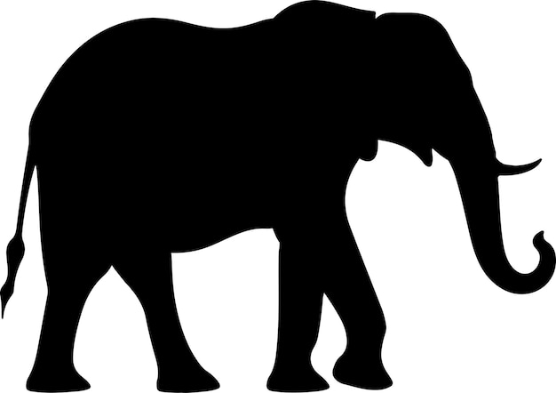 Vector vectorillustratie van het silhouet van een olifant witte achtergrond