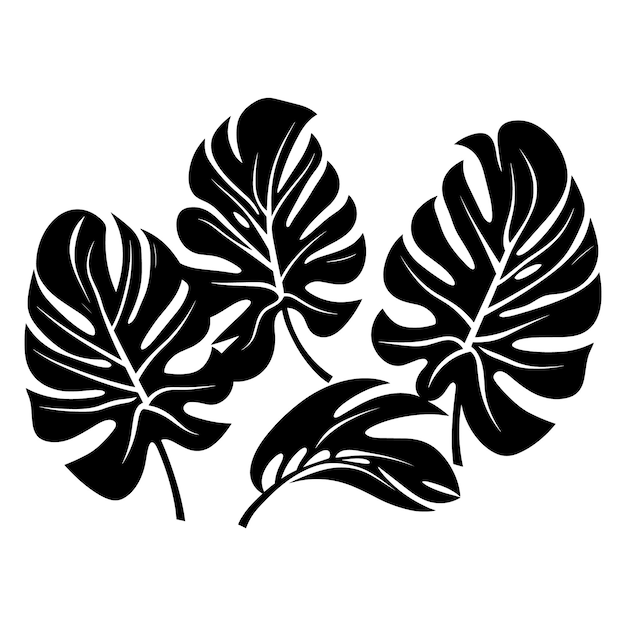 Vector vectorillustratie van het silhouet van monstera bladplanten