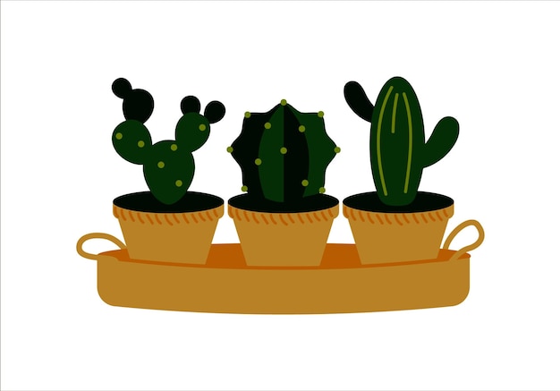 Vectorillustratie van ingemaakte cactussen geïsoleerd op wit Huis plant in een pot