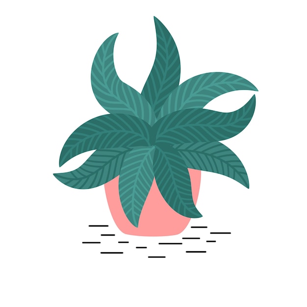 Vectorillustratie van kamerplant