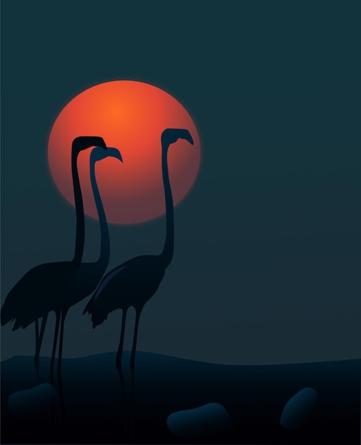 Vectorillustratie van nachtscène met flamingo's voor tshirt sjabloon achtergrond