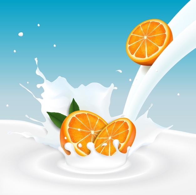 Vectorillustratie van oranje vruchten en melkplons