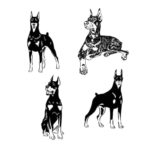 Vectorillustratie van schattige doberman cartoon