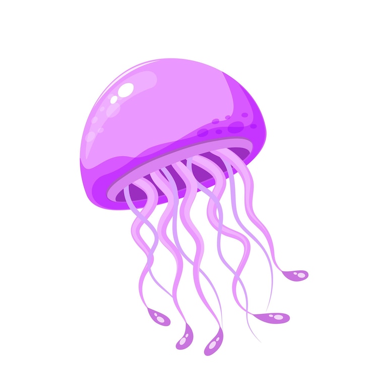 Vector vectorillustratie van schattige kwallen
