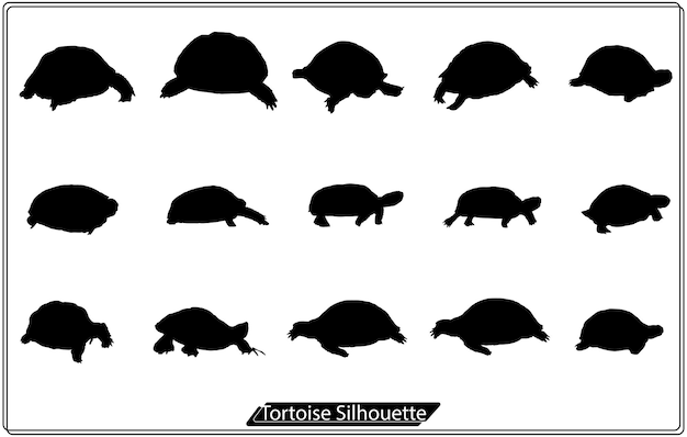 vectorillustratie van schildpad silhouet