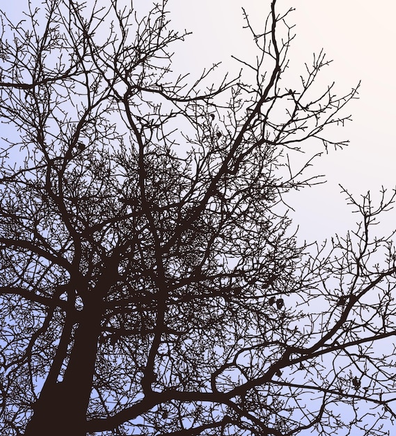 Vector vectorillustratie van silhouet bladverliezende boom in de winter