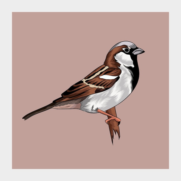 Vectorillustratie van Sparrow vogel zittend op takje.