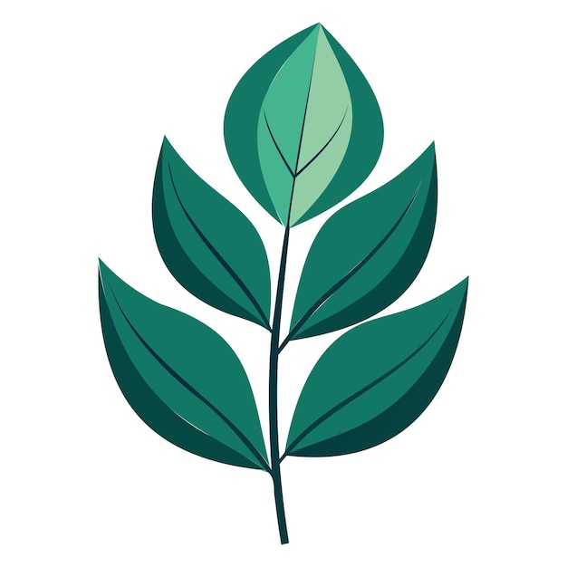 Vectorillustratie van tropische eucalyptusbladeren voor het logo van de groene plant