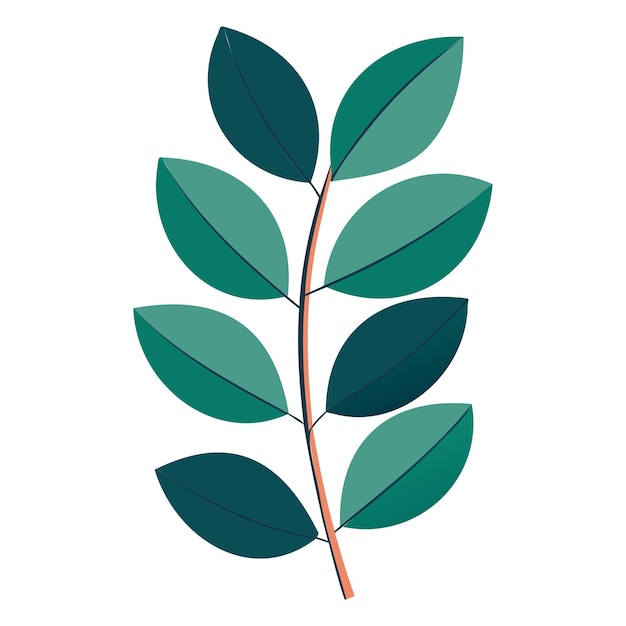 Vectorillustratie van tropische eucalyptusbladeren voor het logo van de groene plant