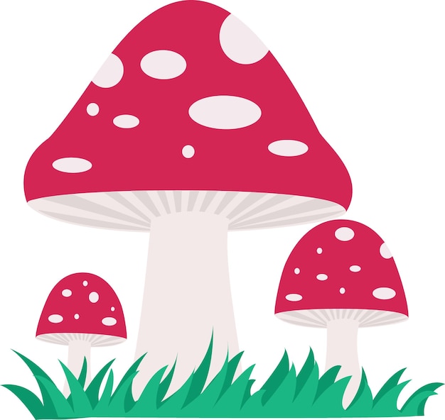 Vectorillustratie van vliegenzwammen met groen gras. Paddestoelen op een afgelegen witte achtergrond.