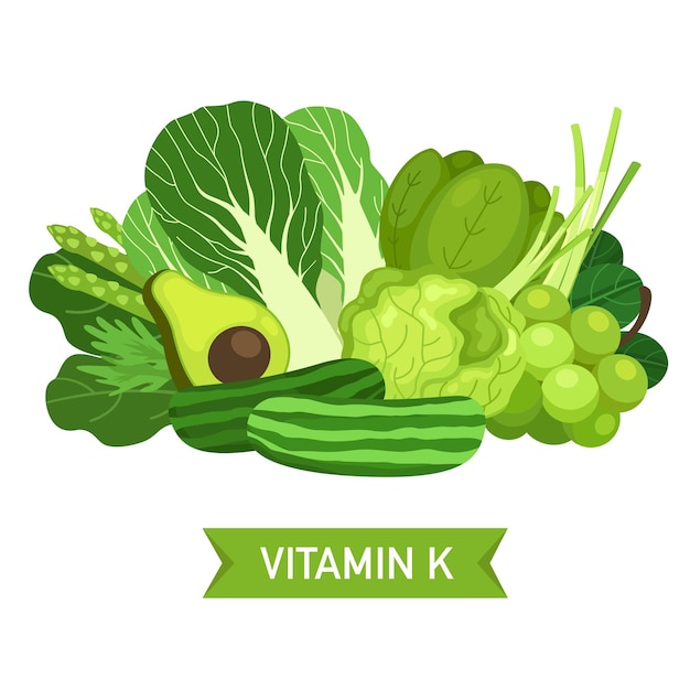 Vectorillustratie van voedingsbronnen voor vitamine K