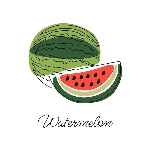 Vectorillustratie van watermeloen met belettering