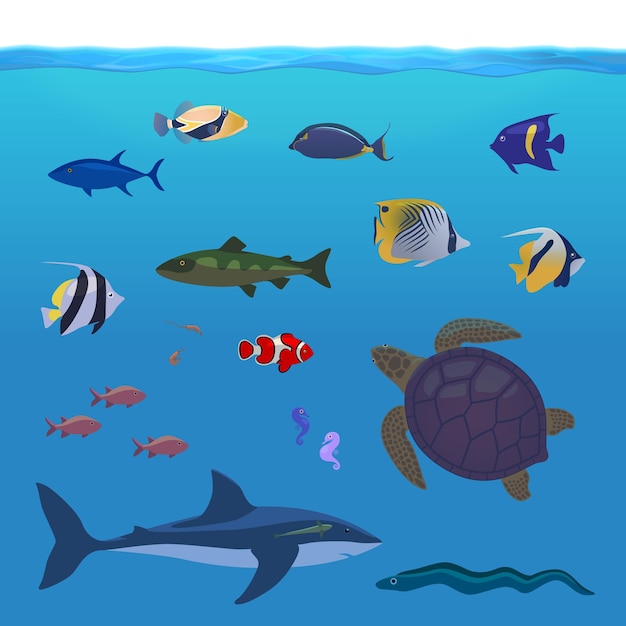 Vectorillustratie van wateroppervlak en onderwater exotische vissen en zeeschildpad