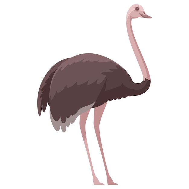 Vectorillustratie van wilde dieren