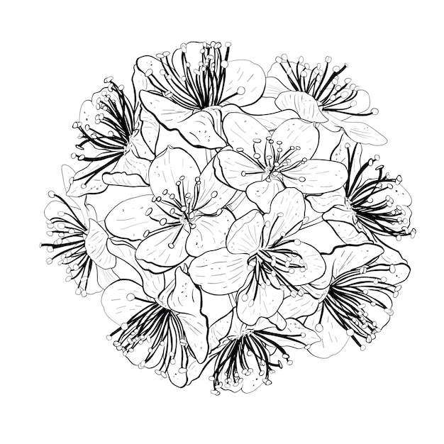 Vectorillustratiebal van bloemen van kersensakura appelpruim wilde kersenpruim vogelkerspeer