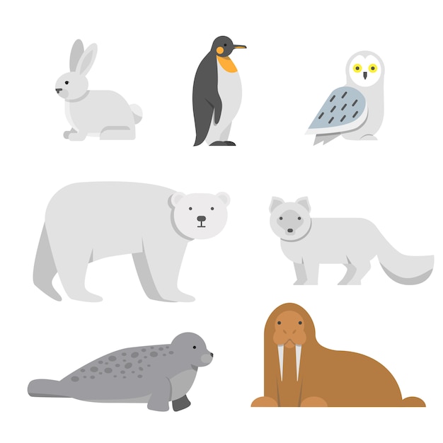 Vectorillustraties van arctische sneeuwdieren