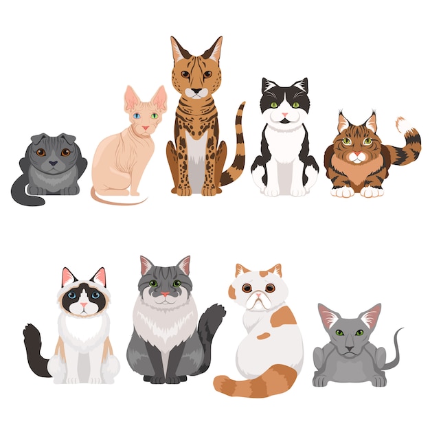 Vectorillustratiesreeks vele verschillende katjes. Katten tekens in cartoon stijl