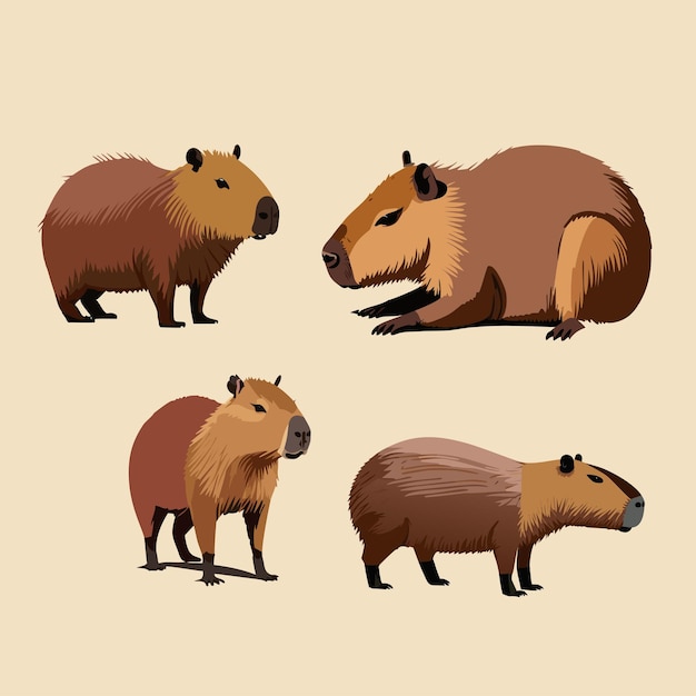 Vector vectoriseerde capybara-illustratie