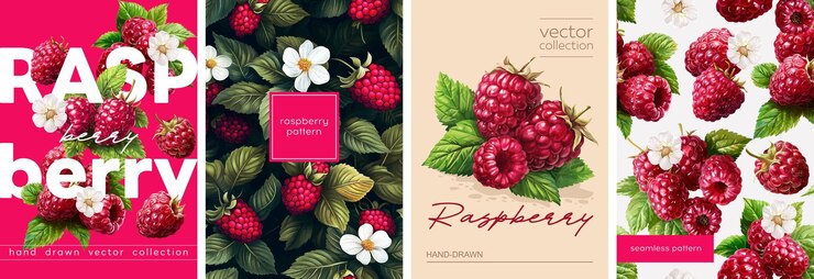 Vector vectorized gouache illustrations illustrations of sweet raspberry with flowers
