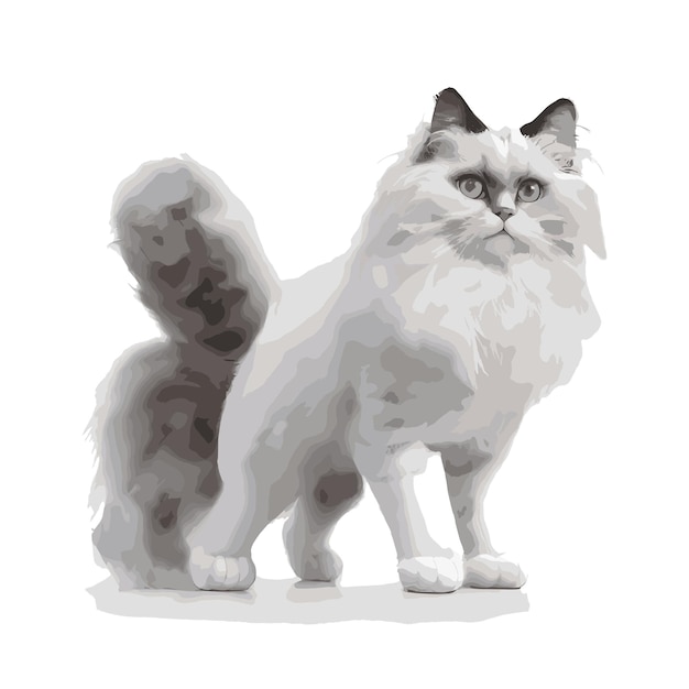 Векторная ragdoll kitty редактируемая художественная работа рисунок красивой кошки ragdoll
