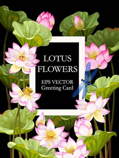 Vectorkaart met witte en roze lotusbloemen op zwarte achtergrond