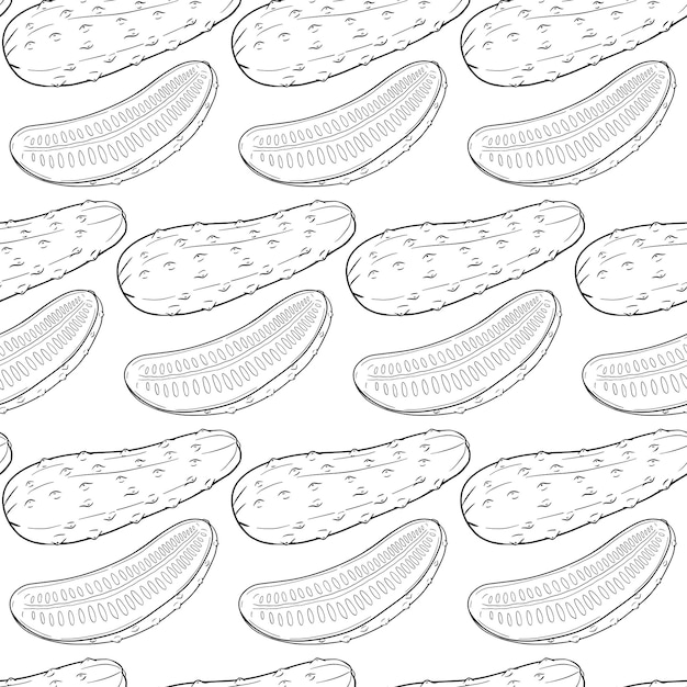Vectorkomkommerpatroon. Plantaardig patroon. Gedetailleerde tekening van komkommers. Product van de boerenmarkt.