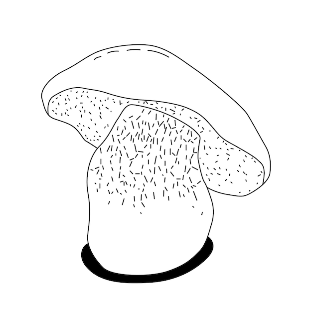 Vectorlijnpictogram voor geïsoleerde paddestoel witte knoop Vintage vectorillustratie