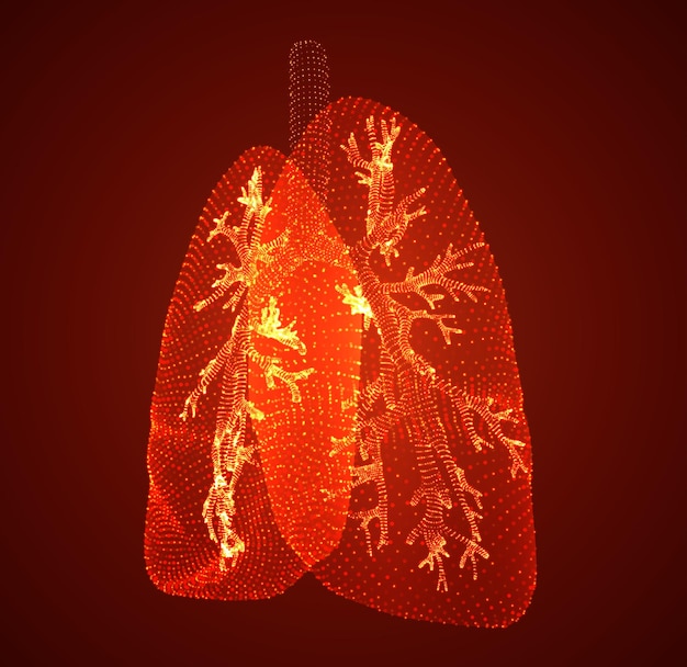 Vectorlongen en bronchiën vectorontwerppunt en puntstijl