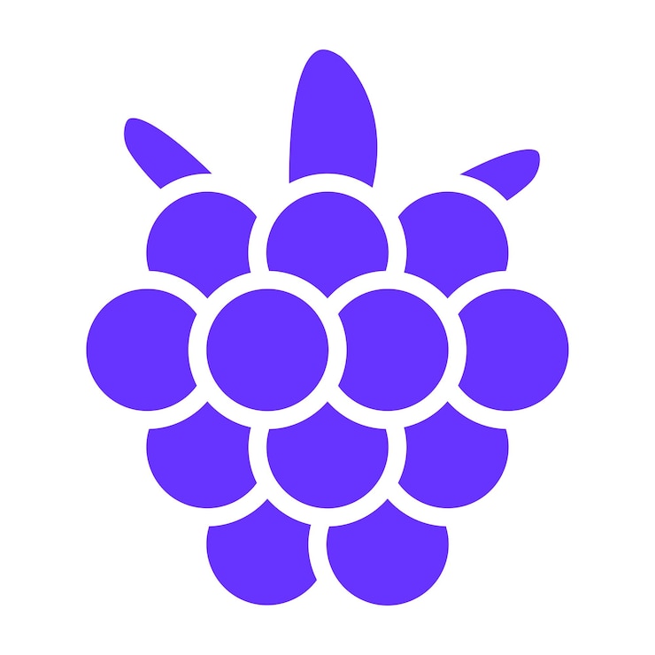 Vector vectorontwerp raspberry rhapsody icon style