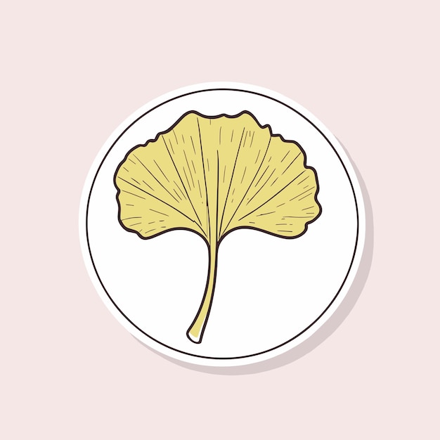 Vector vectorontwerp van de illustratie van het gingko-blad