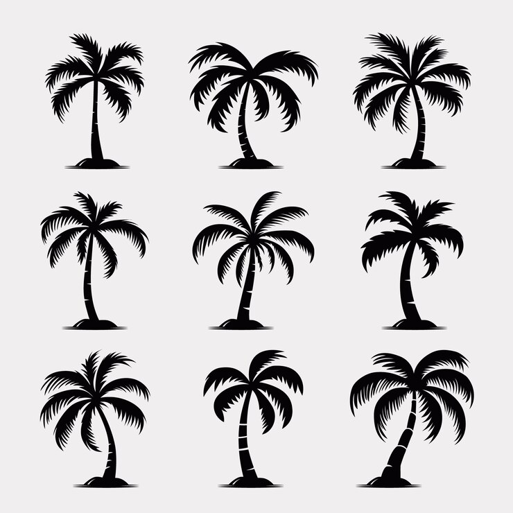 Vectorpalmbomen Palmboom Icon Set Geïsoleerde palm silhouetten Ontwerp sjabloon voor tropische vakantie Zomer Beach Concept Vector Illustratie Front View