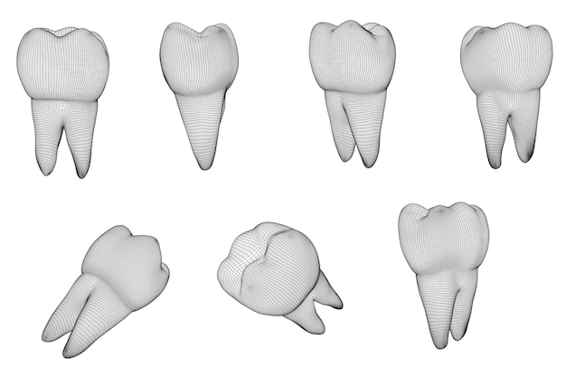 Vectorreeks 3d tanden voor tandgeneeskunde