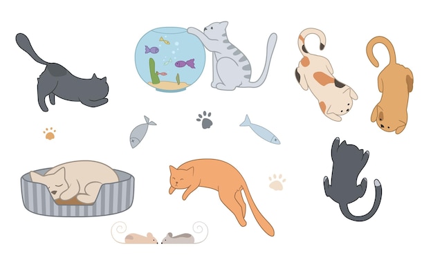 Vectorreeks geïsoleerde katten. illustratie heeft dieren, vissen, kattenpoten, eten, kittens