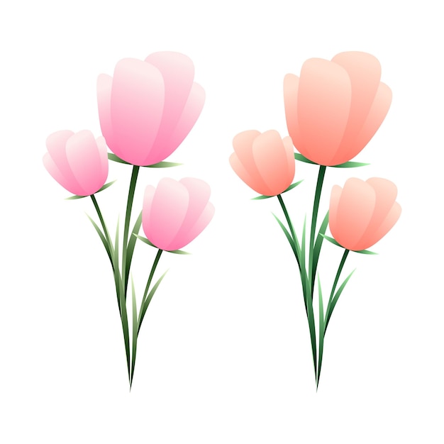 Vectorreeks kleurrijke tulpen