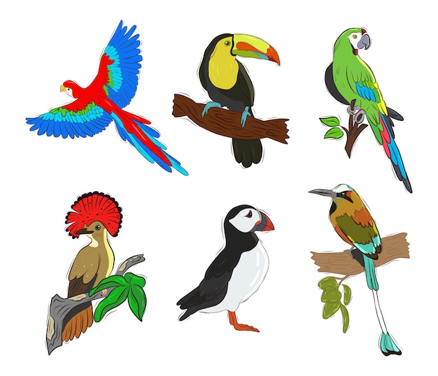 Vectorreeks tropische vogels. Kleurrijk geschilderde vogels. Collectie stickers met vogels.