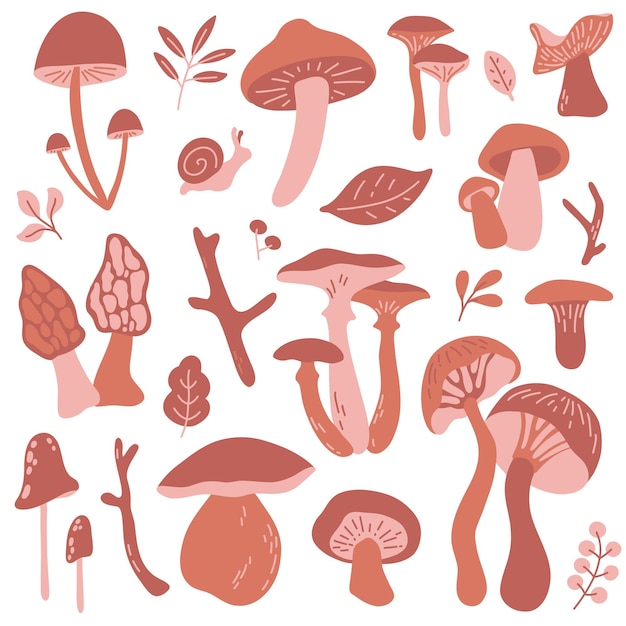 Vectorset met eetbare en niet-eetbare paddestoelen in bruine kleur